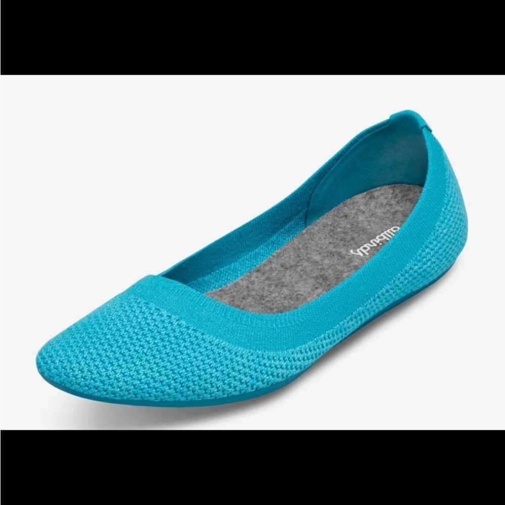 Allbirds Tree Breezers Teal Ballet Flats Size 9.5